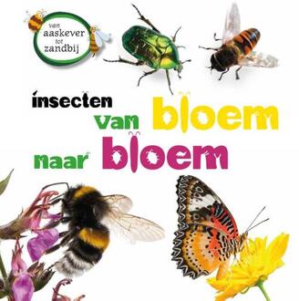 Insecten Van Bloem Tot Bloem - Van Aaskever Tot Zandbij - Sarah Ridley