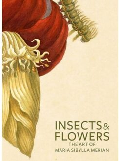 Insects and Flowers - The Art of Maria Sibylla Merian