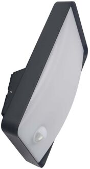 Inspire Buitenwandlamp Algoa - Antraciet - Koel Wit - 14w - Met Sensor