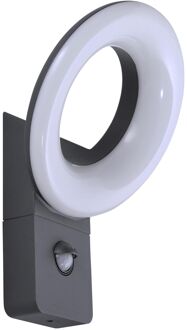 Inspire Buitenwandlamp Quito - Antraciet - Koel Wit - 16w - Met Sensor