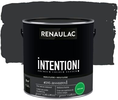 Intention Muurverf - Extra Mat - Assured - 2,5l