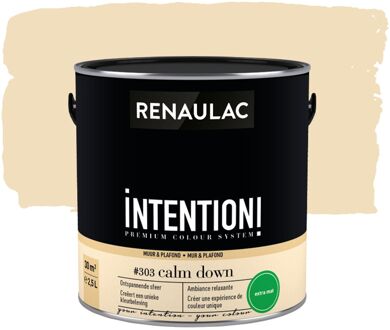Intention Muurverf - Extra Mat - Calm Down - 2,5l