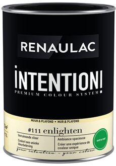 Intention Muurverf - Extra Mat - Enlighten - 1l