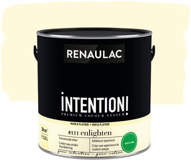 Intention Muurverf - Extra Mat - Enlighten - 2,5l
