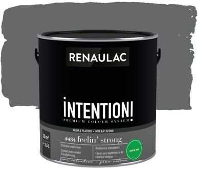 Intention Muurverf - Extra Mat - Feelin' Strong - 2,5l