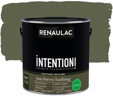 Intention Muurverf - Extra Mat - Forest Bathing - 2,5l