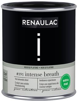 Intention Muurverf - Extra Mat - Intense Breath - 125ml