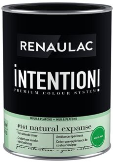 Intention Muurverf - Extra Mat - Natural Expanse - 1l