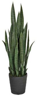 Intergard Kunstplanten Sansevieria Vrouwentong 105cm Groen