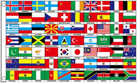 Internationale versiering Vlag - met 70 landen - 150 x 90 cm - polyester - met ringen Multi