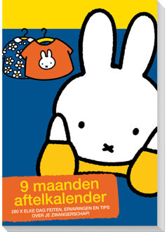 InterStat Aftelkalender Nijntje 9 Maanden 19x13 cm