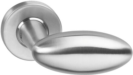 Intersteel Deurkruk Golfclub geveerd op rozet Ø52x10 met ring rvs Zilver