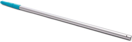 Intex Telescopische steel - voor opzetstukken - 279 cm - Uitschuifbare telescoopsteel