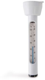 Intex thermometer Wit
