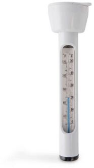 Intex Zwembad Thermometer