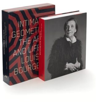 Intimate Geometries - Robert Storr