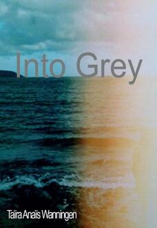 Into Grey - Boek Taïra Anaïs Wanningen (9492182904)