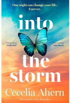 Into The Storm - Cecelia Ahern