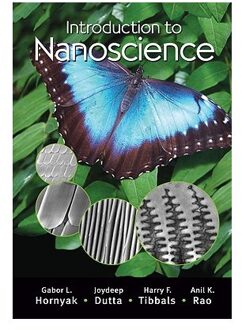 Introduction to Nanoscience