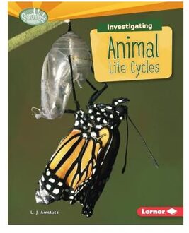 Investigating Animal Life Cycles - What Are Earths Cycles - Searchlight