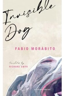 Invisible Dog - Fabio Morabito
