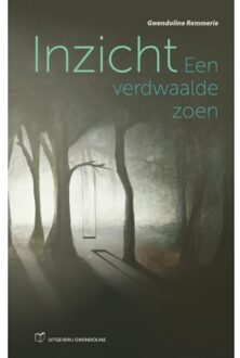 Inzicht - Boek Gwendoline Remmerie (9081851837)