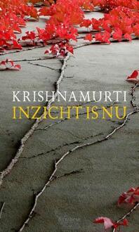 Inzicht is nu - Boek Jiddu Krishnamurti (9062711073)