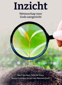 Inzicht - Mart- Jan Paul, Wim de Vries, Benno Zuiddam, Jan van Meerten - ebook