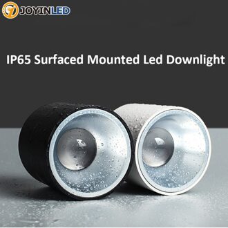 IP65 Waterdichte Opbouw Led Downlight Voor Badkamer Keuken Balkon Outdoor Deur Luifel Vocht Proof Fog Proof Lamp 15W D115 H101mm / wit kleur