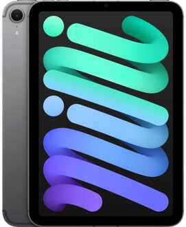 iPad mini (2024) 128GB WiFi + 5G Tablet Grijs