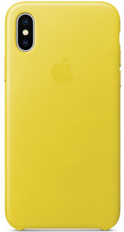 iPhone X Leather Back Cover Lentegeel