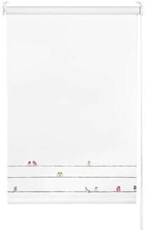 IRIS Rolgordijn verduisterend - vogels/wit - 150x190 cm - Leen Bakker