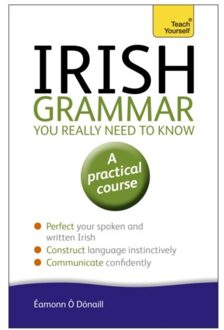 Irish Grammar You Really Need to Know