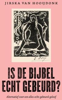 Is de Bijbel echt gebeurd? -  Jirska van Hooijdonk (ISBN: 9789043544085)