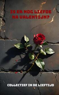 Is er nog liefde na Valentijn? -  In de Lieftijd (ISBN: 9789403780085)