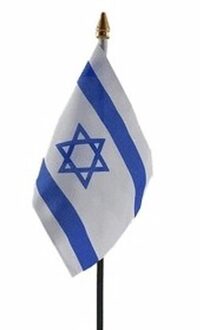 Israel mini vlaggetje op stok 10 x 15 cm