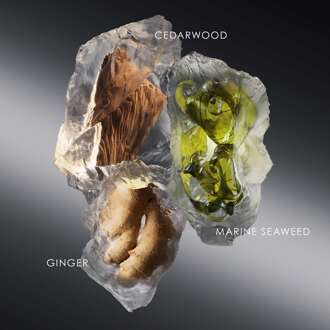 Issey Miyake Eau de Toilette Issey Miyake Issey Le Sel D'issey Edt 50 ml