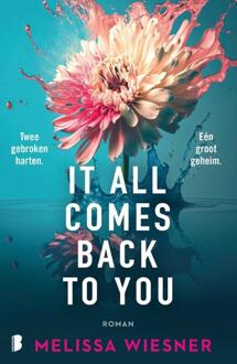 It All Comes Back To You -  Melissa Wiesner (ISBN: 9789049203757)