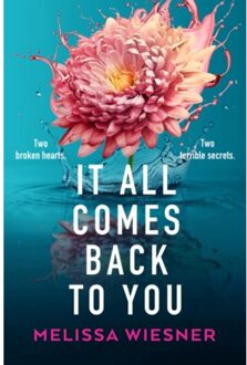 It All Comes Back To You - Melissa Wiesner