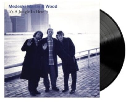 It's A Jungle In Here - Medeski Martin & Wood