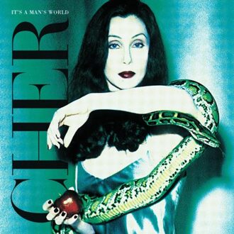 It'S A Man'S World - Cher
