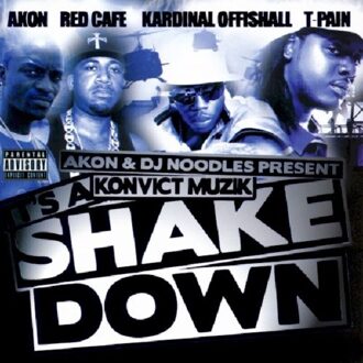 It's A Shakedown - Akon