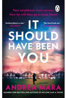 It Should Have Been You - Andrea Mara