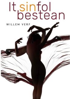 It sinfol bestean - Boek Willem Verf (9492176653)
