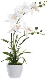 Items Orchidee bloemen kunstplant in witte bloempot - witte bloemen - H45 cm - Kunstplanten