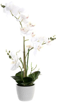 Items Orchidee bloemen kunstplant in witte bloempot - witte bloemen - H60 cm - Kunstplanten