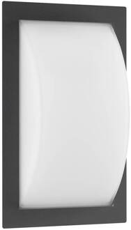 Ivett buitenwandlamp, antraciet, E27, bewegingsmelder antraciet, opaal