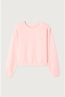Izu03ae26 izubird sweater Roze - L