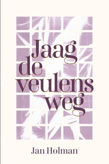 Jaag de veulens weg - Jan Holman - ebook