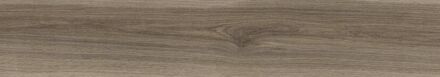 Jabo SAMPLE Baldocer Cerámica Barkley keramische houtlook tegel gerectificeerd 20 x 114 cm, camel
